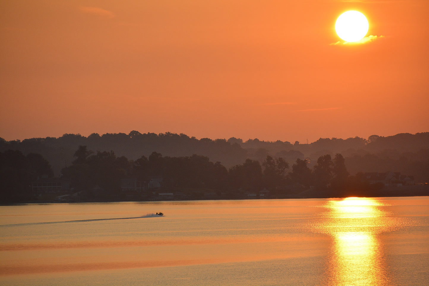 Golden Escape on Douglas Lake