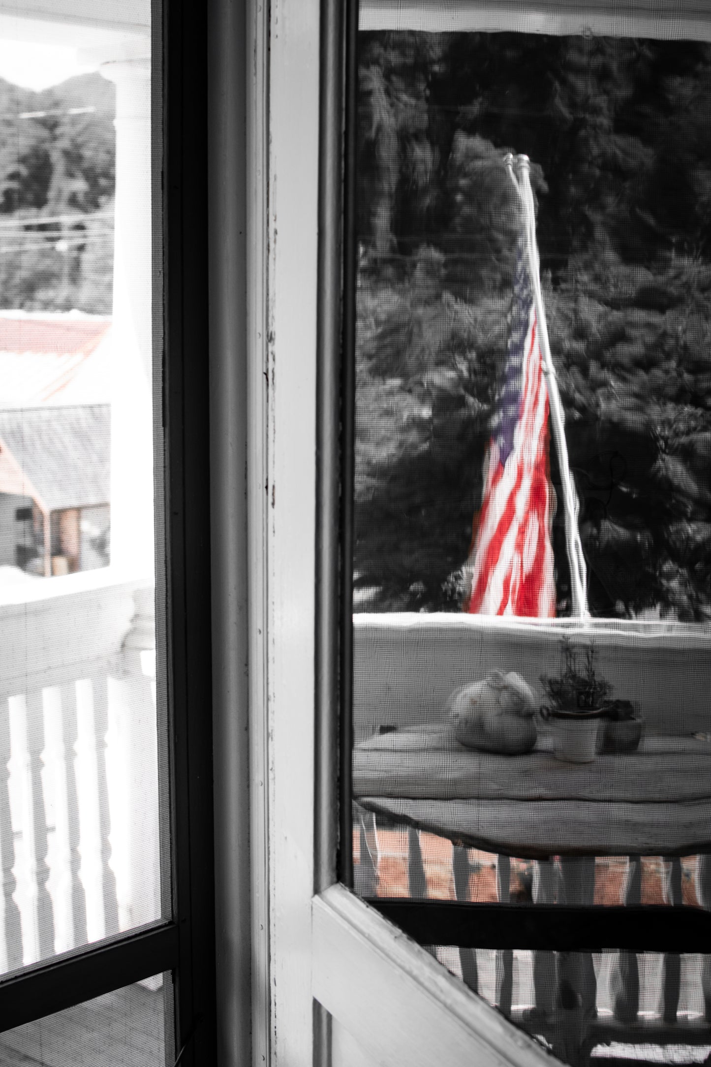 Through the Screen Door