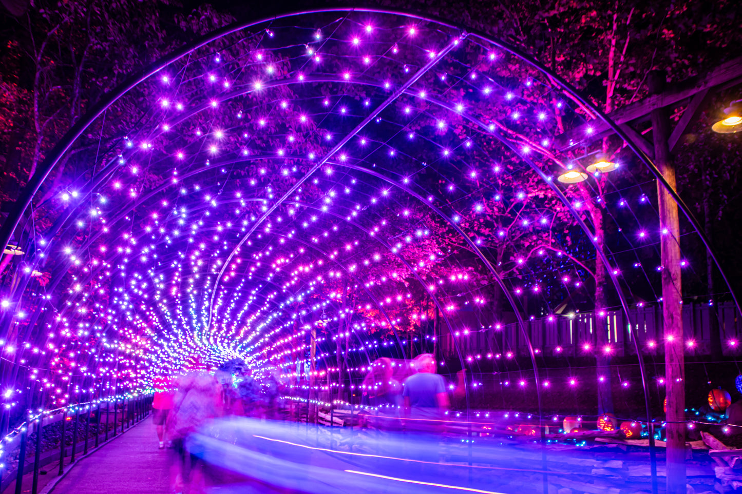 Winterfest Glow