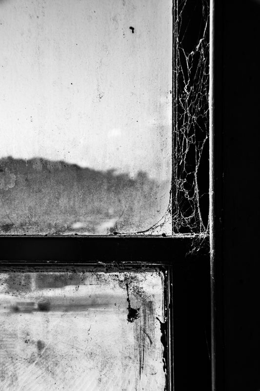 Cobweb Wonder