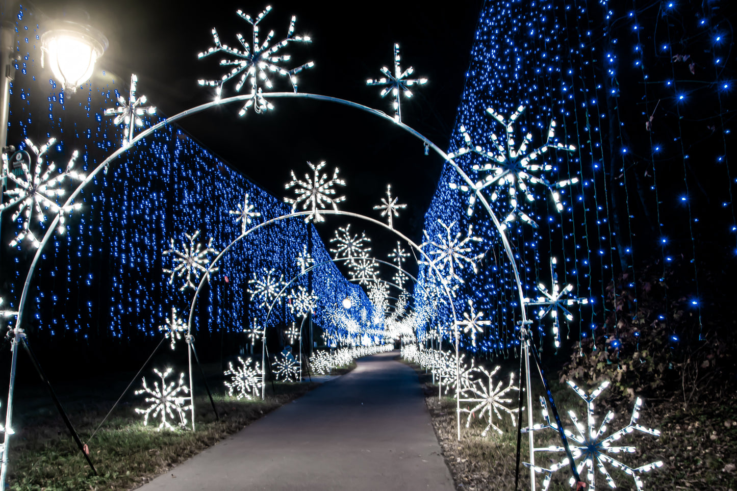 Sevierville Winterfest Arches