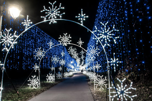 Sevierville Winterfest Arches