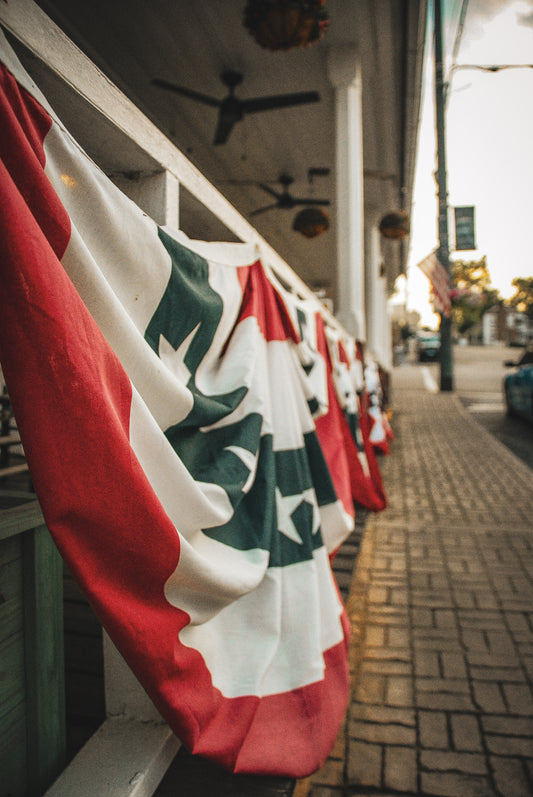 Patriotic Charm on Main St.