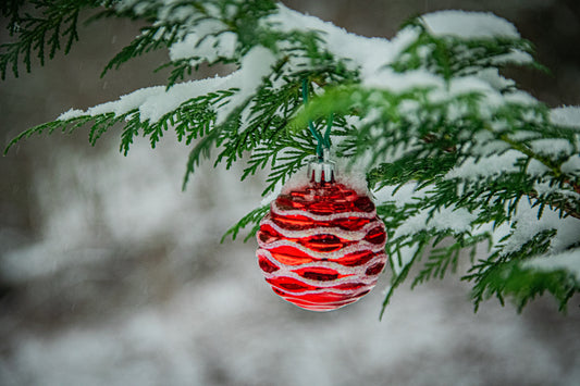 Christmas Time is Here