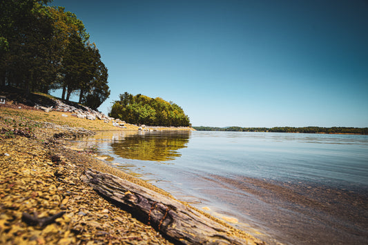 Down the Shore