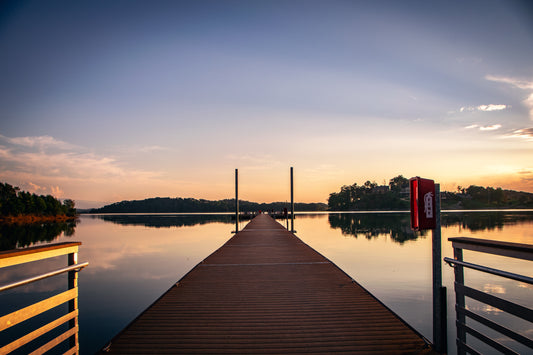 Dockside Beauty
